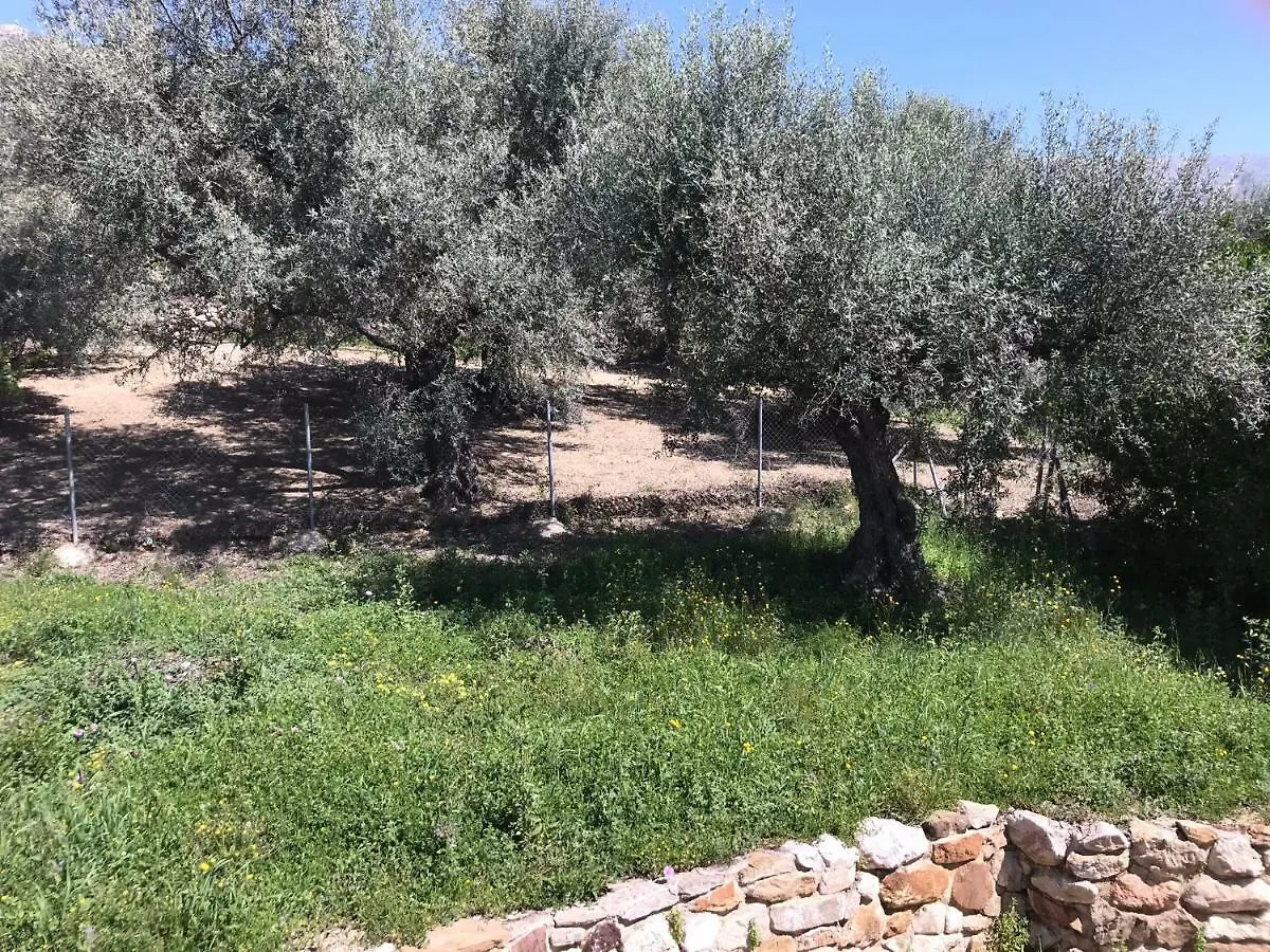 Villa Zahar Periana 0*,  Spain